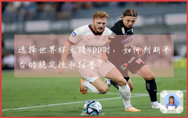 选择世界杯竞猜app时，如何判断平台的稳定性和信誉？